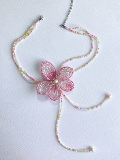 Phalaenopsis - Image 2