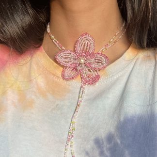 Phalaenopsis