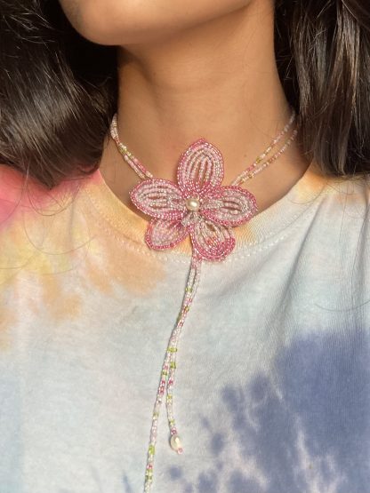 Phalaenopsis